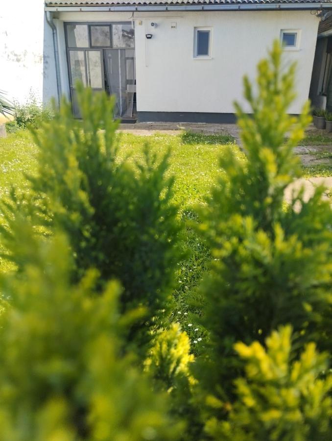 Marija Apartman 奥西耶克 外观 照片