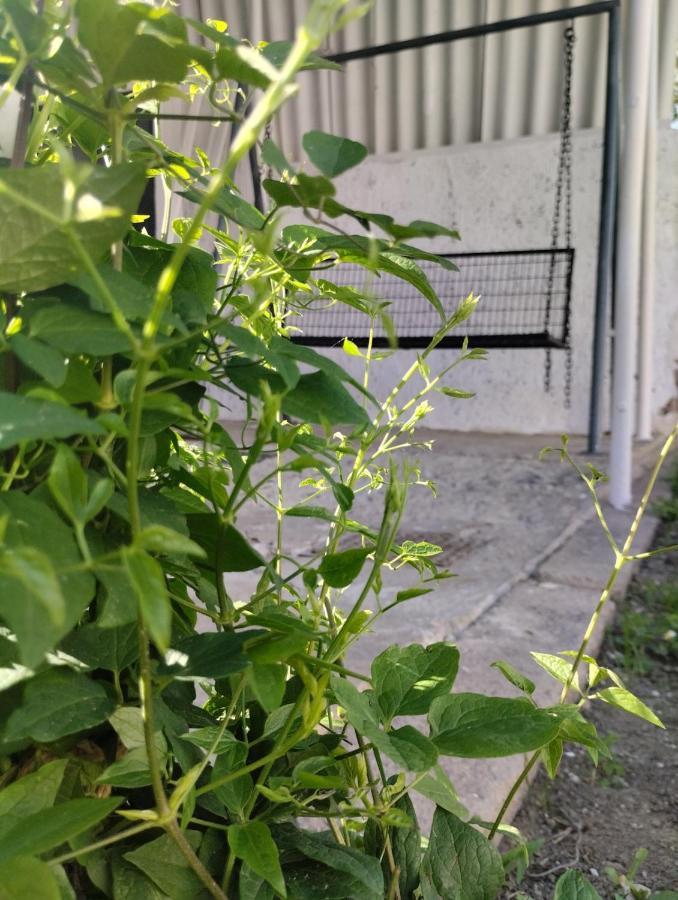 Marija Apartman 奥西耶克 外观 照片
