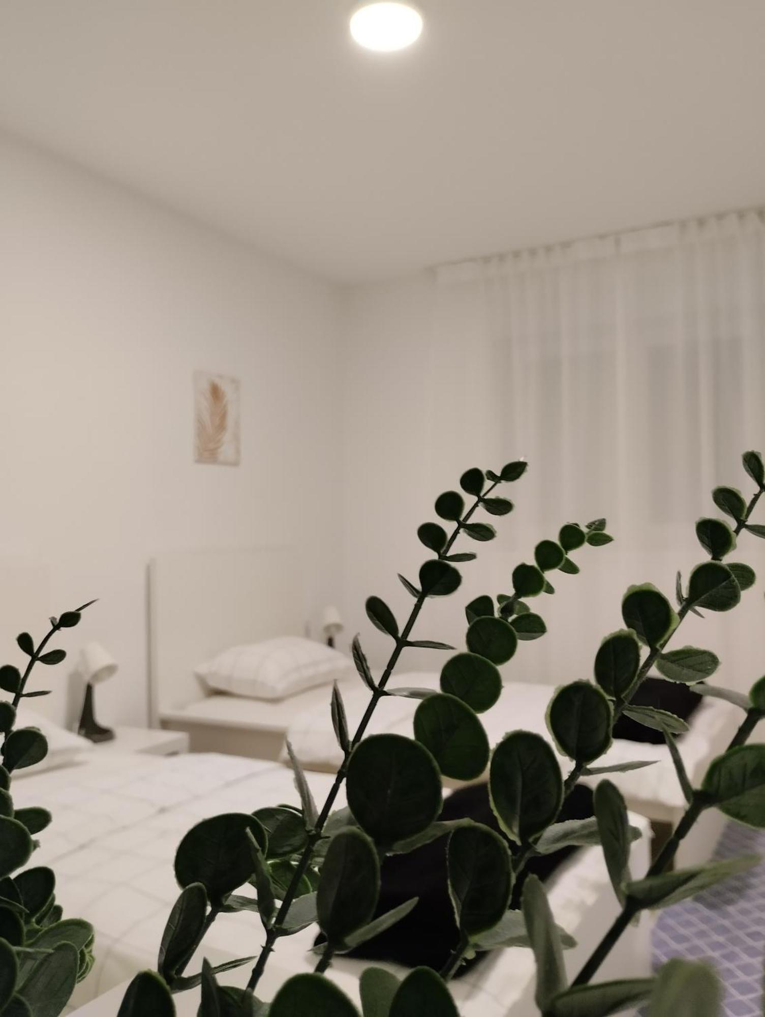 Marija Apartman 奥西耶克 外观 照片